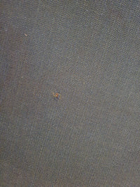 Gijs van der Sluis for Gispen sofa
