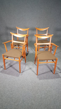 Set of 4 x German / cow horn dining armchairs / Lübke 1950s / Extremely rare /